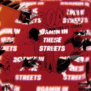 Roamin(feat. SpookyDee) (Explicit)