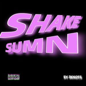 SHAKE SUMN (Explicit)