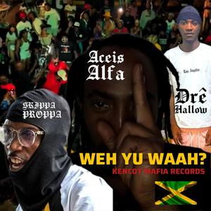 Weh Yu Waah (feat. Dre Hallow & Skippa Proppa) [Explicit]