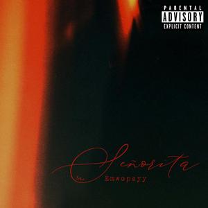 SEÑORITA (Explicit)