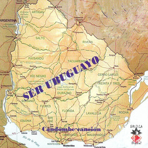 Te Mentiría