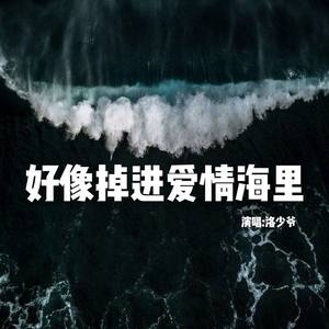 洛少爷 - 好像掉进了爱情海里 (小少年ver)