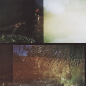 Love Everything in Life