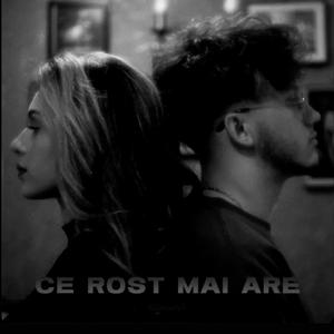 Ce rost mai are (Slowed)