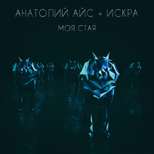 Моя Стая
