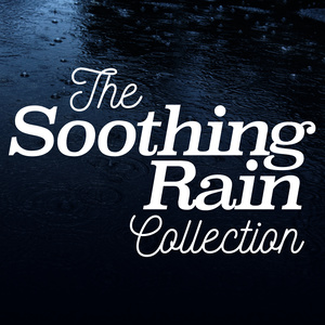 Rain Sounds Nature Collection - Wet Day