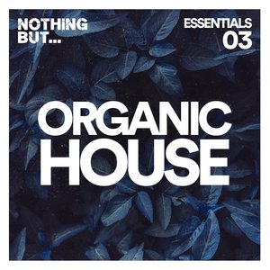 Never Ending (Davide Ferrario Remix)