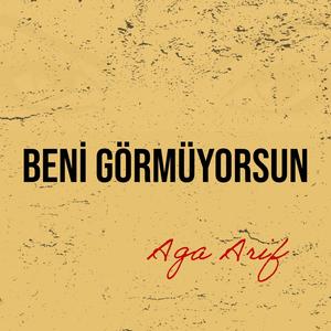 Beni Görmüyorsun