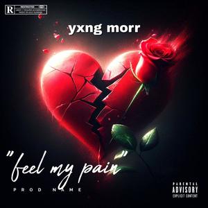 Feel My Pain (Explicit)