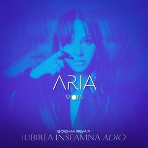 Iubirea Inseamna Adio (Boehm Remix)