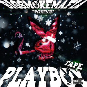 Playboy (Explicit)