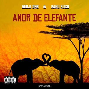 AMOR DE ELEFANTE