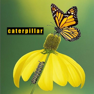 Caterpillar (Explicit)