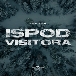 Ispod Visitora