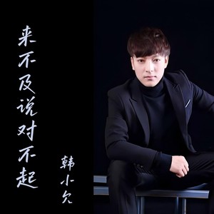 来不及说对不起 (撕心裂肺版)封面