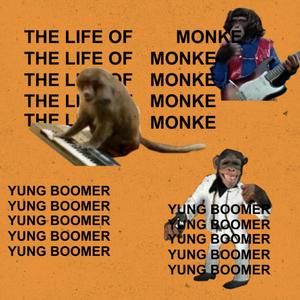 The Life Of Monke