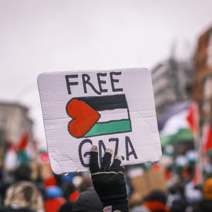 Leve Palestina, Viva Palestina