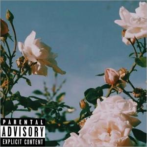 Boom Without Bap(feat. Reevo_Revolution) (Explicit)