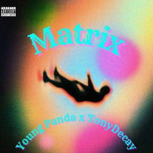 MatriX (feat. Young Panda) [Explicit]