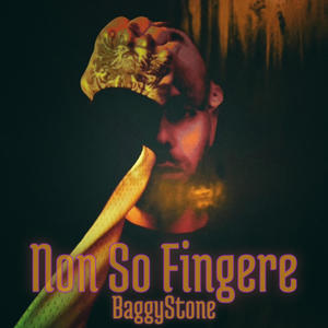 NON SO FINGERE (Explicit)