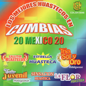 20 Cumbias Huastecas