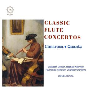 Quantz: Concerto for Flute in G Minor QV 5:196: III. Presto