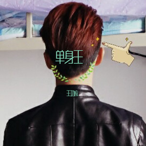 单身情歌
