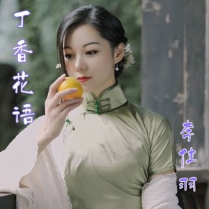 丁香花语 (DJ欧东版)