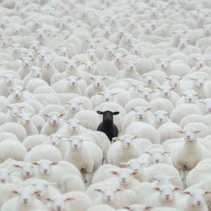 I Don't Want to Smoke (Explicit)