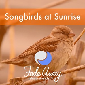 Songbirds at Sunrise