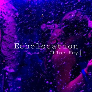 Echolocation