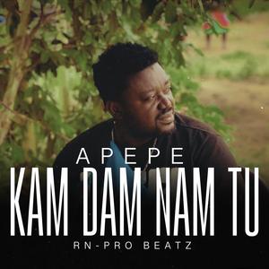 Kam Dam Nam Tu (feat. Apepe)