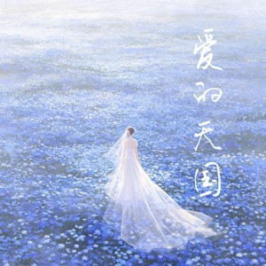 爱的天国 (R&B版)封面