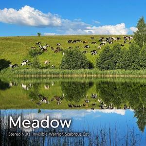 Meadow
