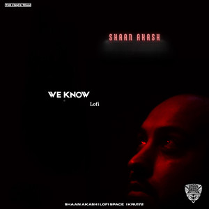 We Know (feat. KRU172) [Lofi]