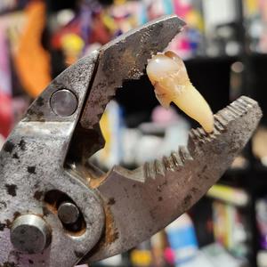 G A P T X X T H (Explicit)