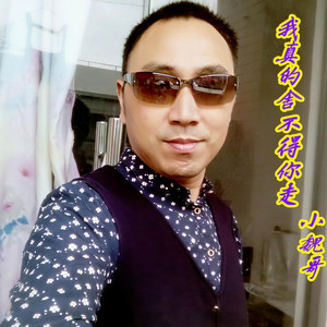 我真的舍不得你走