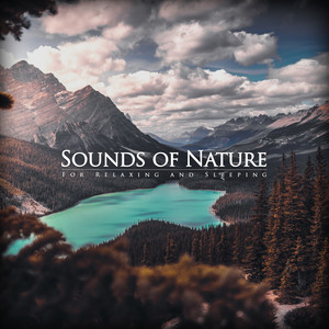 Natural Sounds for Relaxing and Sleeping