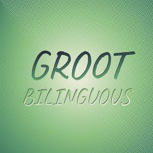 Groot Bilinguous