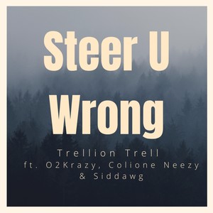 Steer U Wrong (feat. O2Krazy, Colione Neezy & Siddawg) [Explicit]