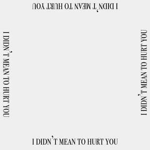 i didn't mean to hurt you (Explicit)