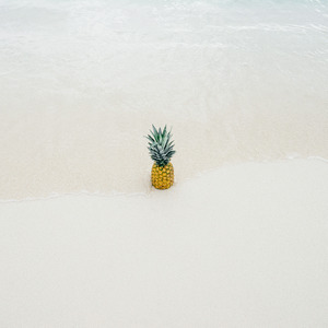 Freedom (Inst.)