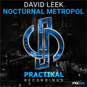 Nocturnal Metropol (Original Mix)