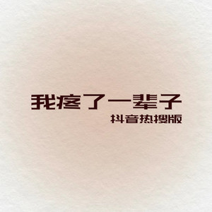 我疼了一辈子 (节奏版)