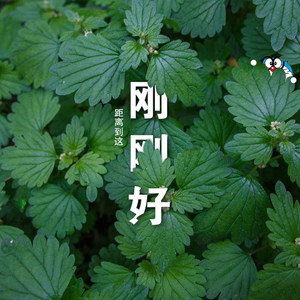 好久不见