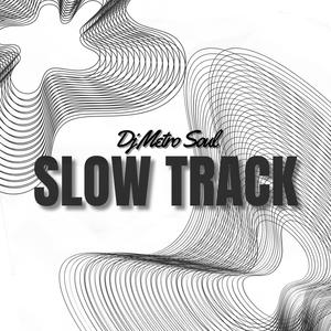 Slow Track