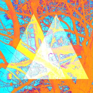 THE BAG (Get In) (feat. ox0df & B)