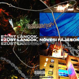 2023 (feat. Sallai & SMNK) (Explicit)