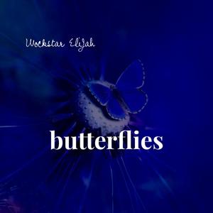 Butterflies (Explicit)