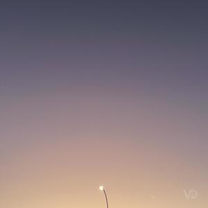 Sunflower Meadows (feat. Exxotik)